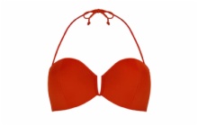 1746-SJ BRA